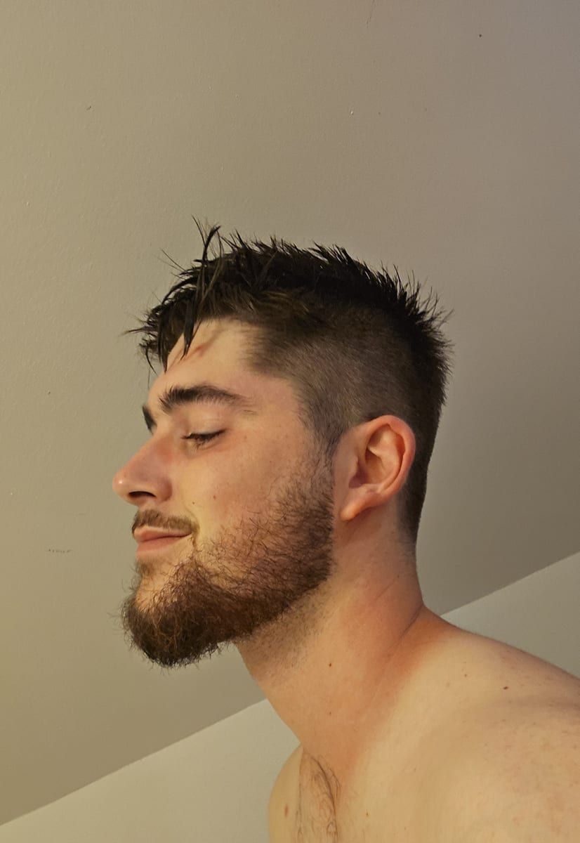 Profil de Judikael